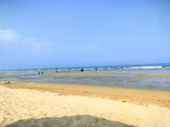 -日照海滨国家森林公园