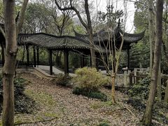 -上海佘山国家森林公园天马山园