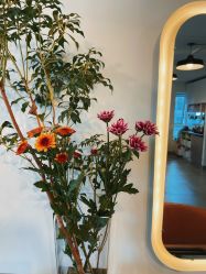 -净漪造型 PURE RIPPLE