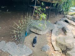 -南昌动物园