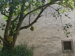 -Mevlana梅夫娜土耳其餐厅·清真