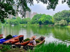 -晓港公园