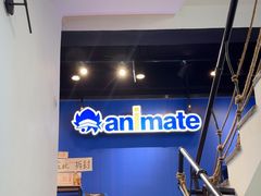 -Animate(工人体育场东路店)