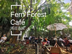 -Fern Forest Cafe