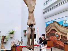 -自贡恐龙博物馆