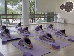 -小荧星艺校(浦东中环分校)