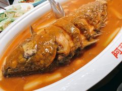 红烧黄河鲤鱼-阿五黄河大鲤鱼(英协路店)