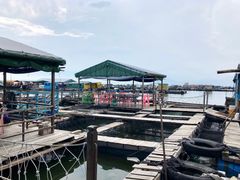 渔排鱼箱-海上驿站渔家菜馆