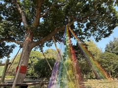 -福建鲤鱼洲酒店