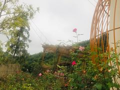 -玫瑰庄园·自助烧烤·烤全羊·团建拓展(龙泉山店)