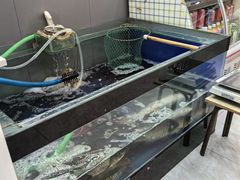 -老渔翁笨锅炖(迎宾路总店)