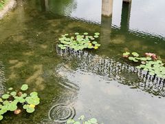-宝岛公园