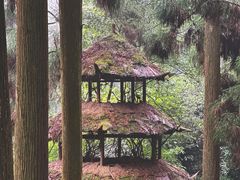 -青城山