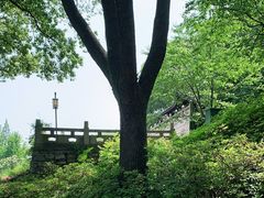 -苏州上方山国家森林公园