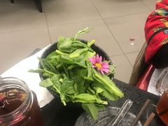 豆苗-彩云南七彩一锅