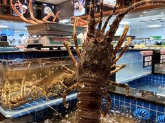 -海月轩海鲜豆捞(紫金塔店)