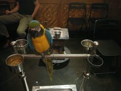 大堂-那家小馆•北京菜•烤鸭(中关村店)