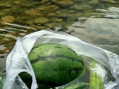 -下河湾农家乐