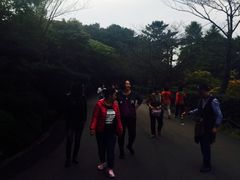 -汉拿树木园