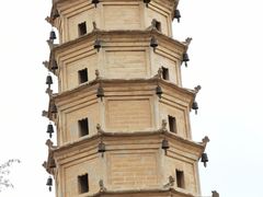 -白塔山公园