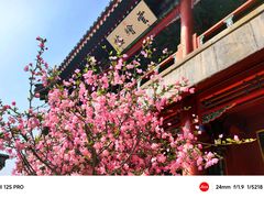 -陶然亭公园