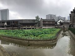 -龙潭水乡