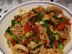 鸭掌筋-壹盏灯(蚂蚁工房店)