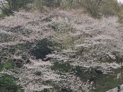 -杭州少年儿童公园