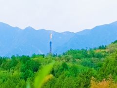 -白水寺森林公园