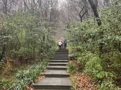 -句容茅山景区