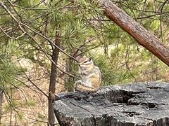 -北极村旅游风景区