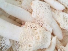 -菌之家·专业纯野生菌火锅·特色炒菌