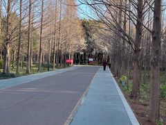 -禹州森林植物园