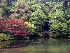 iphone_upload_pic-九溪烟树