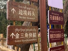 -西双版纳傣族园