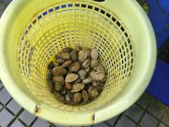 -小海豚•老字号海鲜餐厅(天涯店)