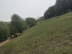 -长白岛森林公园