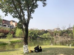 -沐仙湖湿地公园