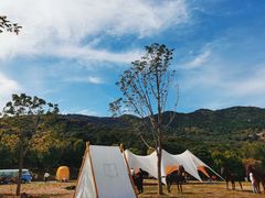 -北京西山国家森林公园