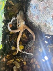 -钓虾工场·钓虾·赶海(回龙观店)