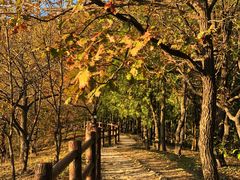 -北京十三陵国家森林公园蟒山景区