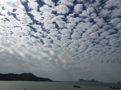 -广东惠东海龟国家级自然保护区