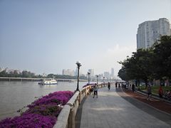 -洲头咀公园