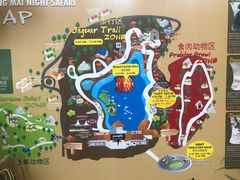 -清迈夜间动物园