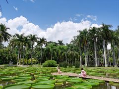 -中国科学院西双版纳热带植物园