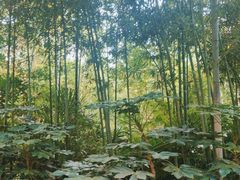 -苏州河梦清园环保主题公园