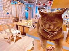 -小时光咖啡馆(开森度假森林店)