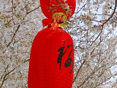 -古柏渡飞黄旅游区