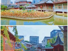 -龙潭水乡