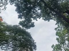 -上海虹桥迎宾馆